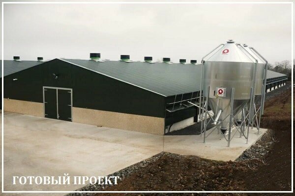 Этапы возведения птицефабрики от завода ВелесТент-мчр